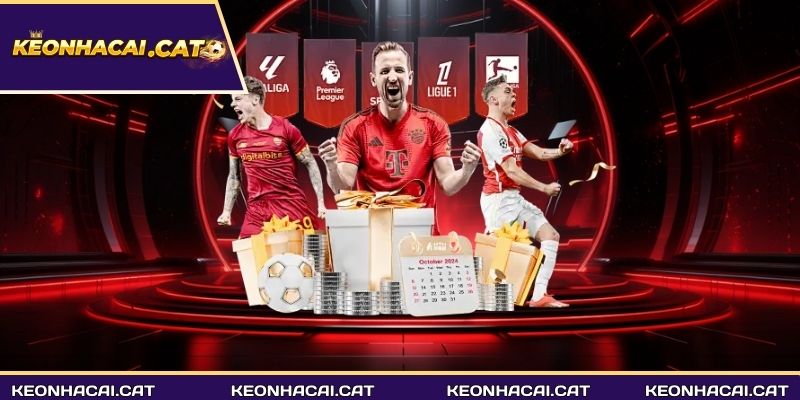 Các giải đấu được cập nhật trong chuyên mục lịch thi đấu