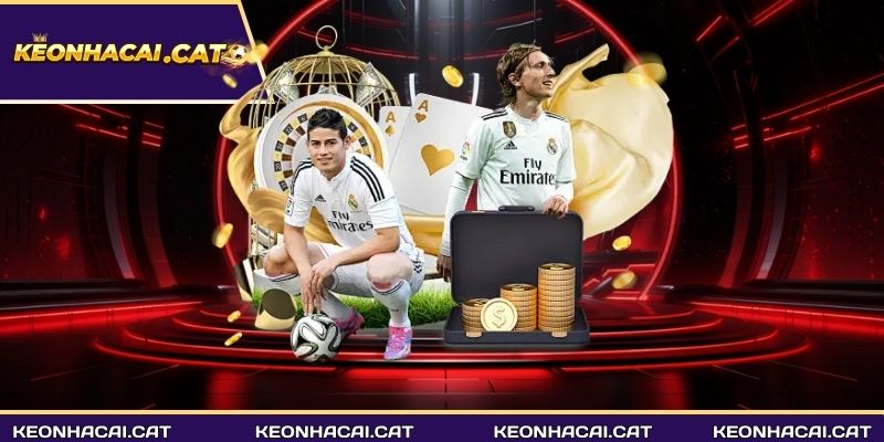Lý do nên tham khảo ltd bóng đá trước khi xuống tiền