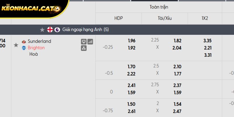 Soi kèo Sunderland vs Brighton qua tỷ lệ